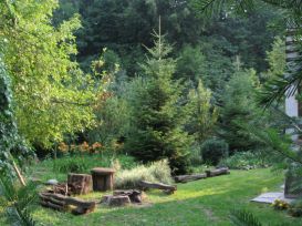 Vila Coiful De Aur | Cazare Cotofenesti 